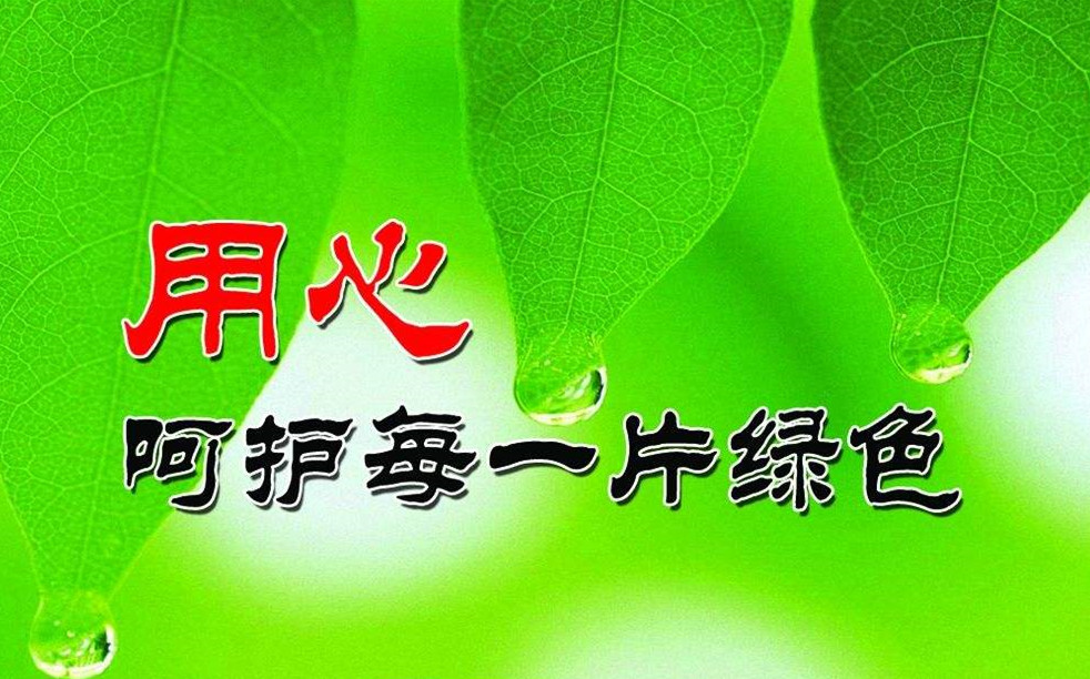 生態(tài)環(huán)境部：環(huán)保治理力度不會放寬放松
